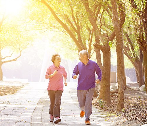 Active Life Home Care USA Harbor City